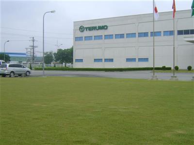 Thiết kế thi công thảm cỏ, cây xanh cho công ty TERUMO Nhật Bản