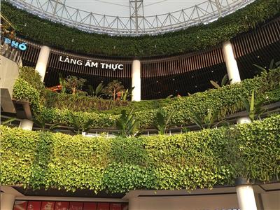 Dự án cung cấp cây cảnh ngoại thất TTTM Aeon Mall Long Biên